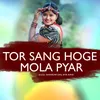 About Tor Sang Hoge Mola Pyar Song